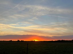 BRM_1000_2026
